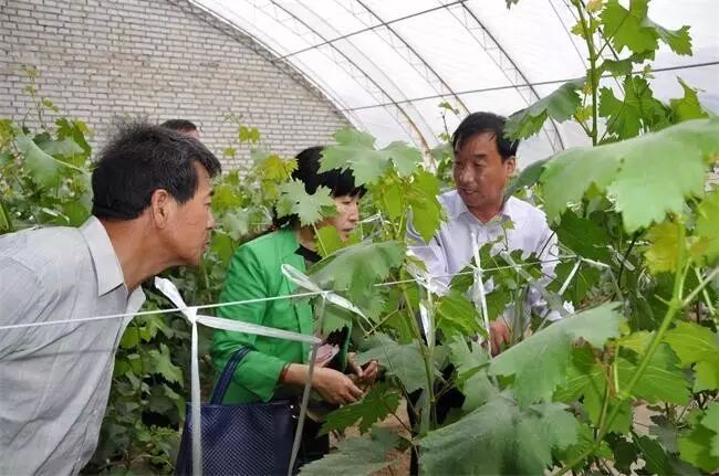 �����ؿ�Э_�����ؽ����Ƽ��־ֳ�_��������Э����