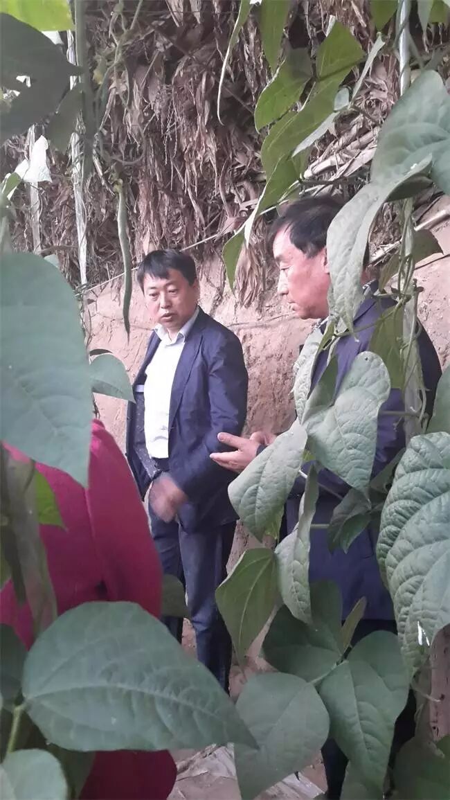 �����ؽ����Ƽ��־ֳ�_�����ؿ�Э_��������Э����