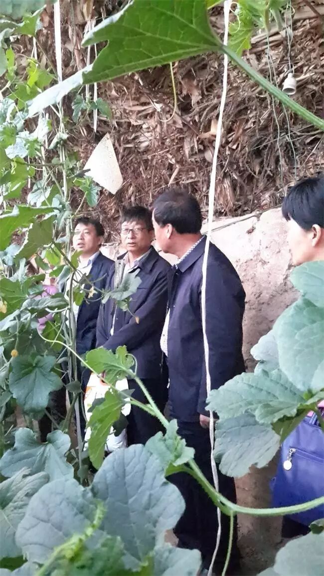 �����ؿ�Э_�����ؽ����Ƽ��־ֳ�_��������Э����