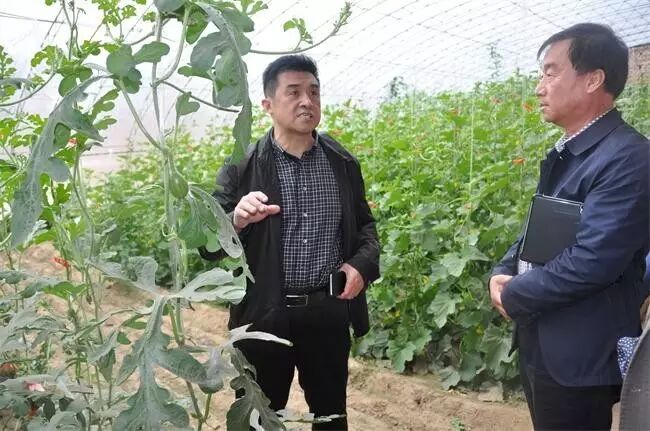 ��������Э����_�����ؿ�Э_�����ؽ����Ƽ��־ֳ�