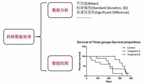 北大博士教你如何使用科研统计作图神器 GraphPad Prism