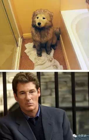 大自然中那些奇妙的相似 这五大神奇的自然现象难倒了科学家