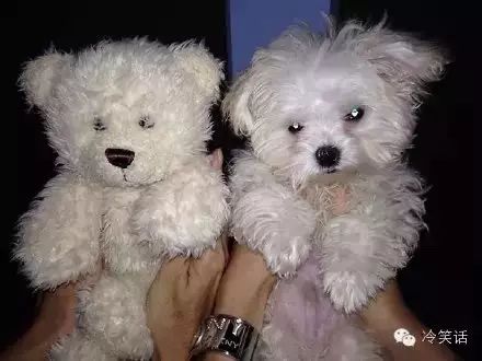 大自然中那些奇妙的相似 这五大神奇的自然现象难倒了科学家