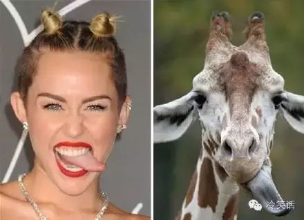 大自然中那些奇妙的相似 这五大神奇的自然现象难倒了科学家