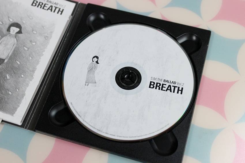 SM八位实力唱将完美组合,让你的耳朵怀孕~-怀孕期