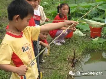 阳光父母分享 | 钓青蛙——田园露营活动科目预告