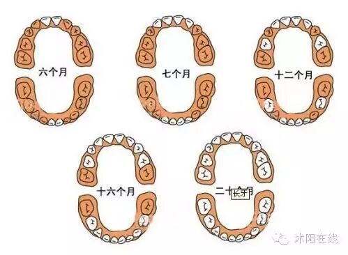 【震惊】刚出生的宝宝竟然长了牙!医生说:这都是怀孕时······-怀孕期