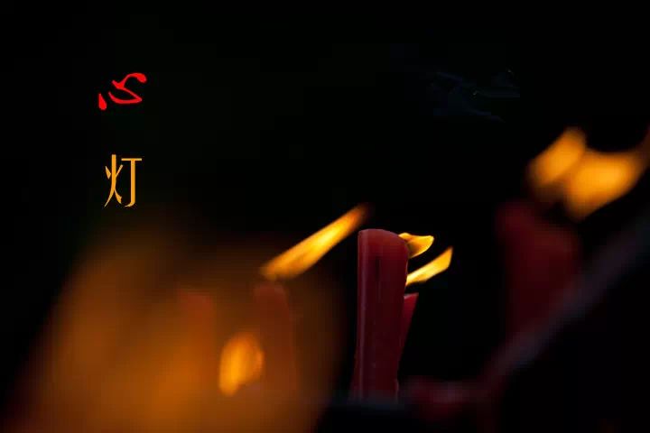 心 灯376 / 作者:雪碧云飘飘 / 帖子ID:107370 心 灯376 / 作者:雪碧云飘飘 / 帖子ID:107370