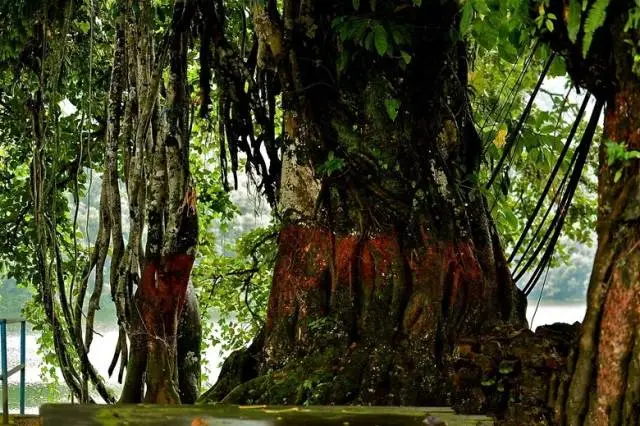 我还未启程，你却已满身伤痕—尼泊尔832 / 作者:碧澄匀 / 帖子ID:115561