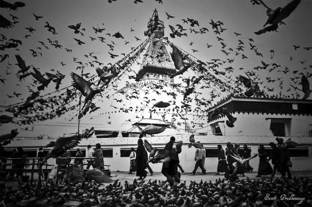 我还未启程，你却已满身伤痕—尼泊尔6 / 作者:碧澄匀 / 帖子ID:115561