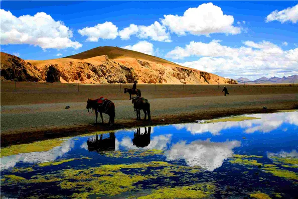 我还未启程，你却已满身伤痕—尼泊尔198 / 作者:碧澄匀 / 帖子ID:115561