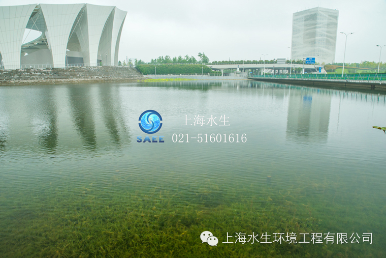 雨后的“东方体育中心”正焕发着清新、自然的味道(图2)