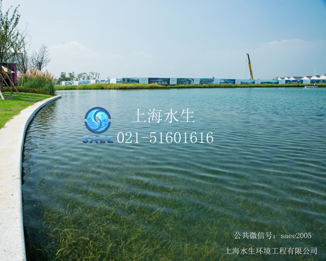 上海水生打造房产（别墅）水生态景观力作之“康盛水月周庄”(图1)
