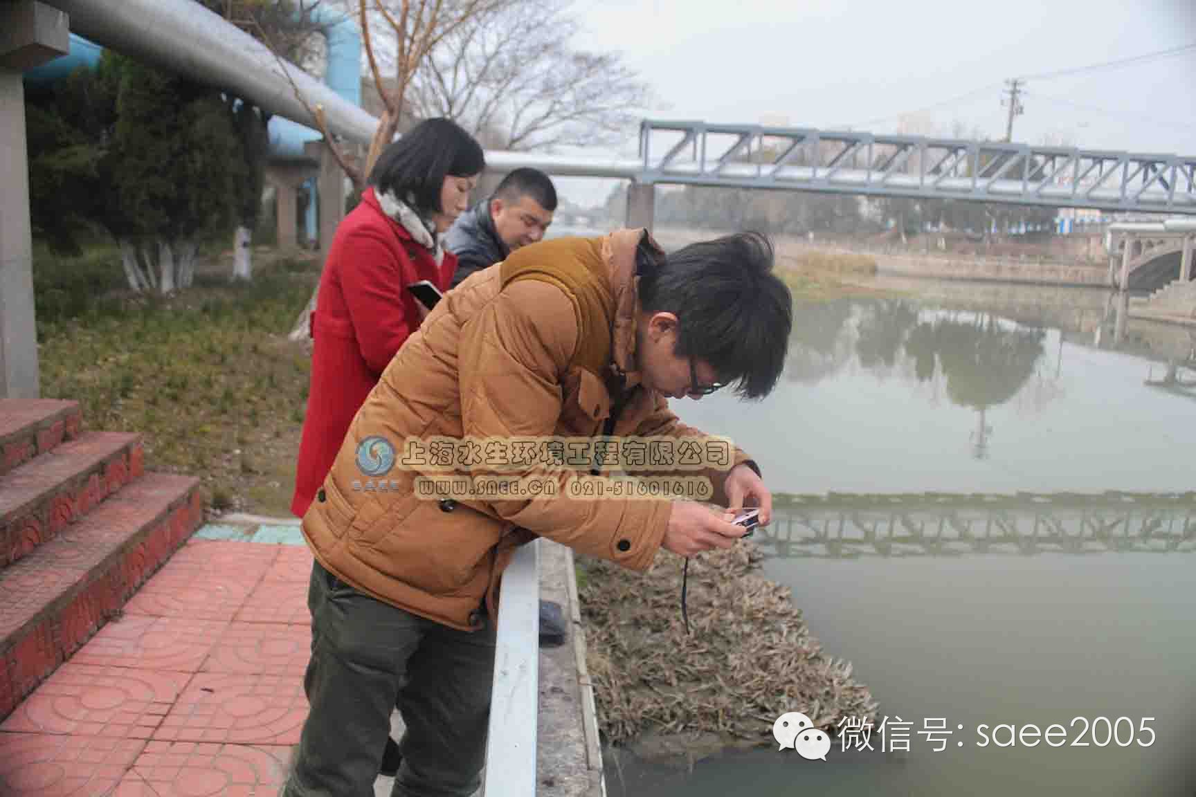 浙江省湖州市政府领导考察我司治理的南通通州金沙横河水项目(图3)