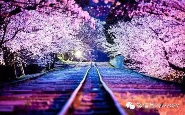 重新爱上谢霆锋之前 王菲去了这5个地方!