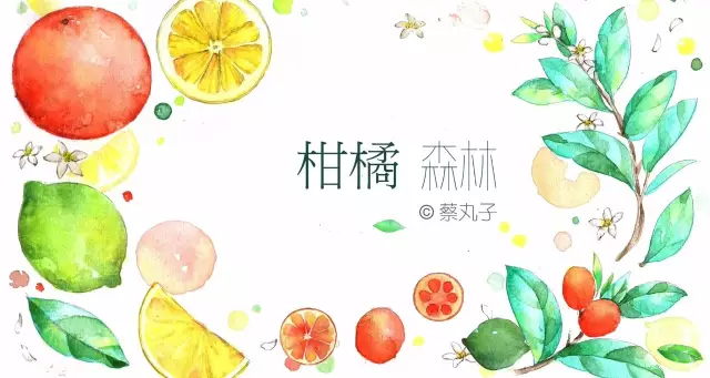 《刻画花园》:马蔺&小粽 《刻画花园》:马蔺&小粽