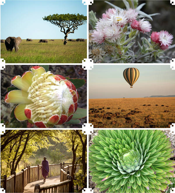 此生一定要登一座高山——乞力马扎罗 此生一定要登一座高山——乞力马扎罗