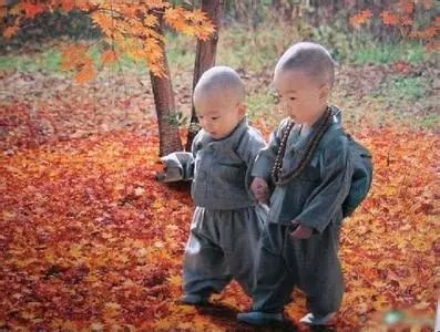 【转】小和尚卖石头 唤醒无数人 - 朋友 - 朋 友 小和尚卖石头 唤醒无数人 - 盛学文 - 一大国隆产品 军工技术 为品质生活护航