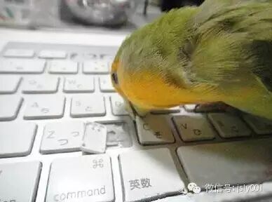 【溧阳呵呵】(11月4日)笑惨了!二胎来袭,祝你好孕-怀孕期