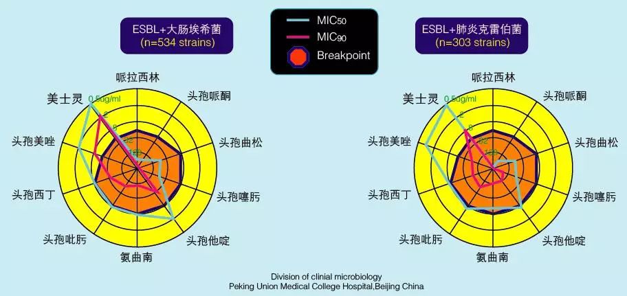 对esbls稳定性强,不易耐药