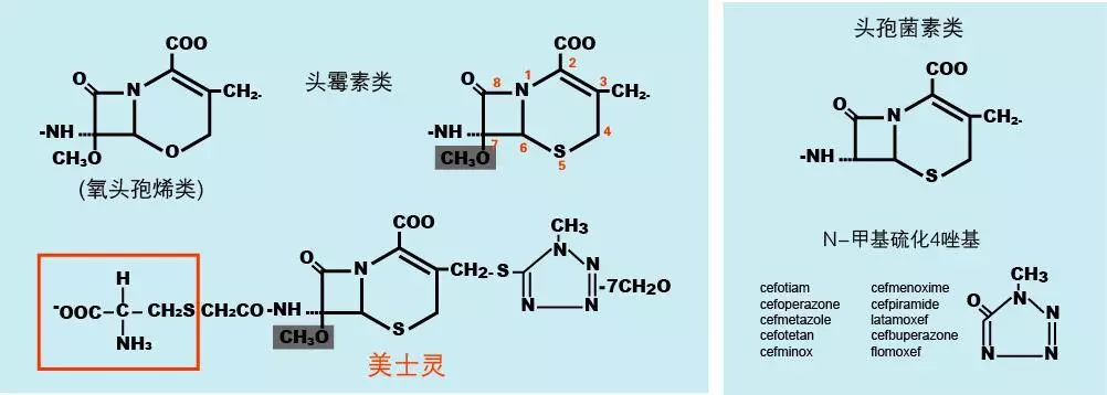 资讯 美士灵完整版产品介绍  头霉素类系由链霉菌产生的甲氧头孢菌素