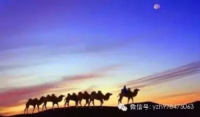 经典音乐:降央卓玛《驼铃》,故事伤感,画面太美