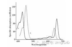LED补充照明系统用于促进铁皮石斛生长的初步研究