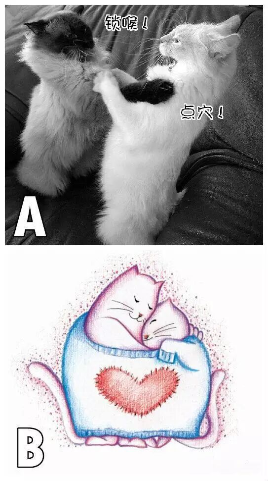 你适合要二胎吗?别纠结了,六幅图给你答案!-怀孕期