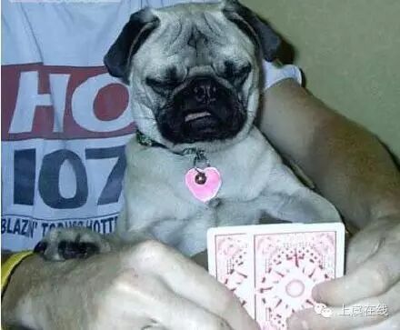 【今日奇葩】大一女生吓坏迎新老师:挺肚带未婚夫报到请产假!-怀孕期