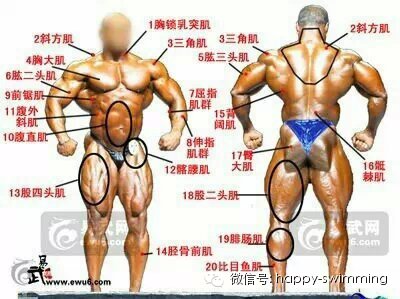 肌肉训练之后可以游泳吗 力量训练后游泳没力气