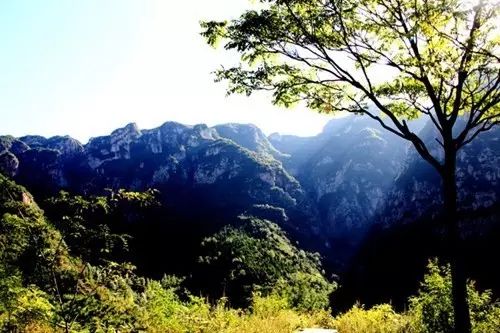 人少景好！5月出行就去新乡秋沟景区