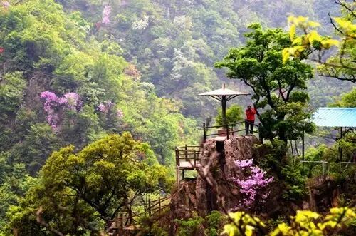 河南多少人_河南人的性格特点_河南人为什么受到歧视的原因