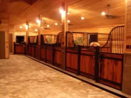 冬马御寒有招 <wbr>天寒不掉膘