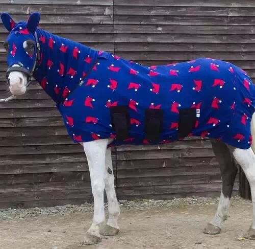 冬马御寒有招 <wbr>天寒不掉膘