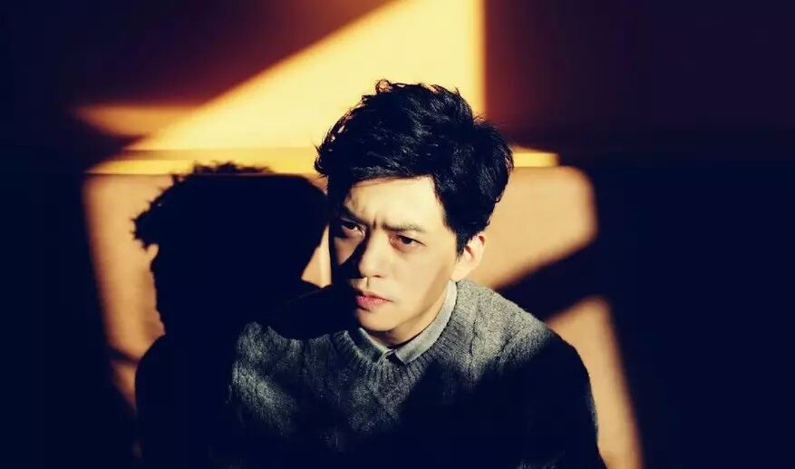 喜欢你,是我青春做过最好的事  今晚听李健