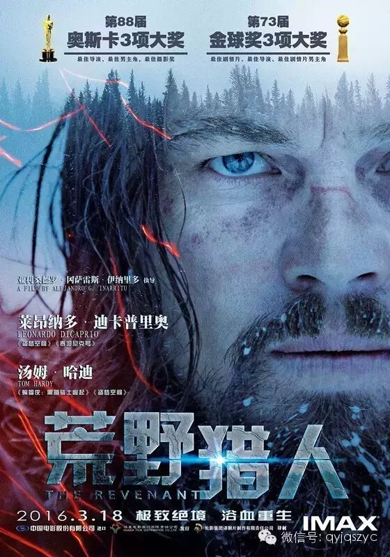 奥斯卡影帝莱昂纳多·迪卡普里奥主演的热门影片《荒野猎...