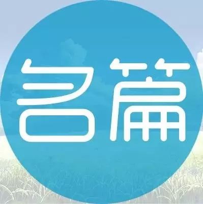 杨澜:我和我最好的伙伴