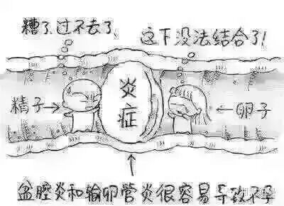 二胎开放!输卵管不通怎么办?-怀孕期