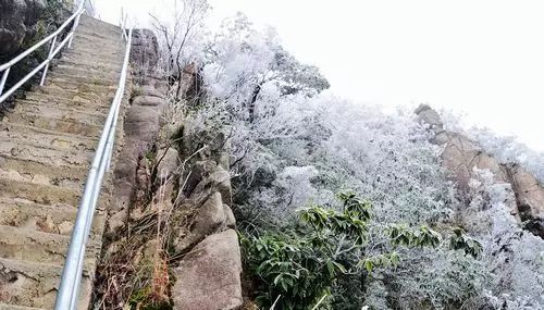 除此以外,金子山还以登山的天梯栈道出名,坡度达到80度!