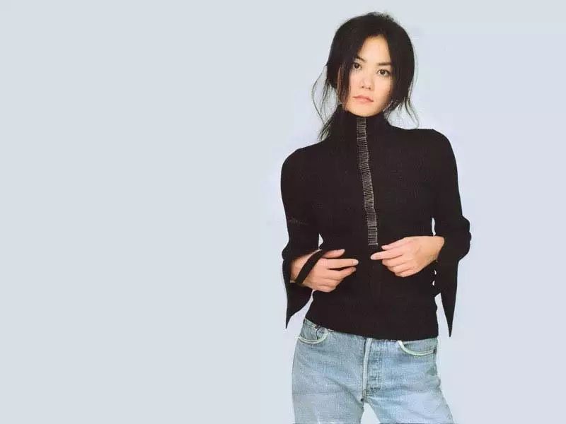 王菲离了两次婚,但她的人生却是个圆满的闭环