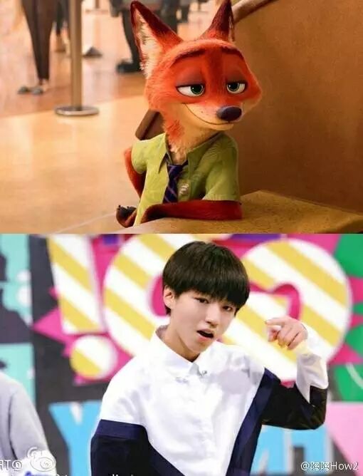 王俊凯VS疯狂动物城:比比谁更萌?