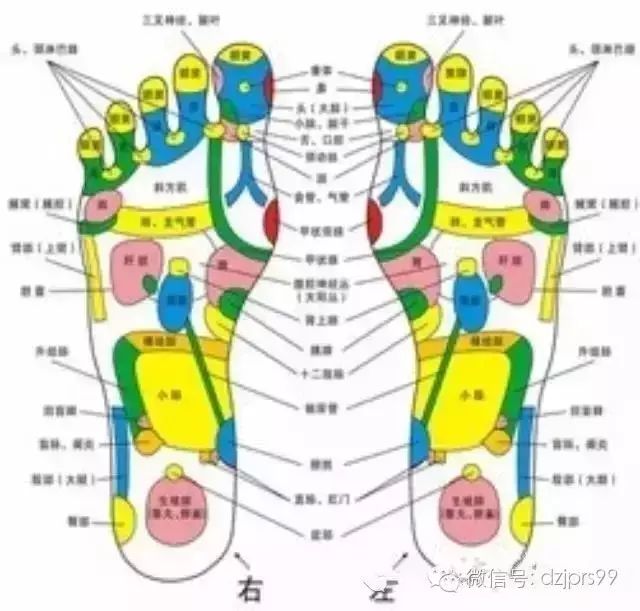 大家每天走路的时间都很多,那么一边走路,一边就把脚的经络穴位刺激通