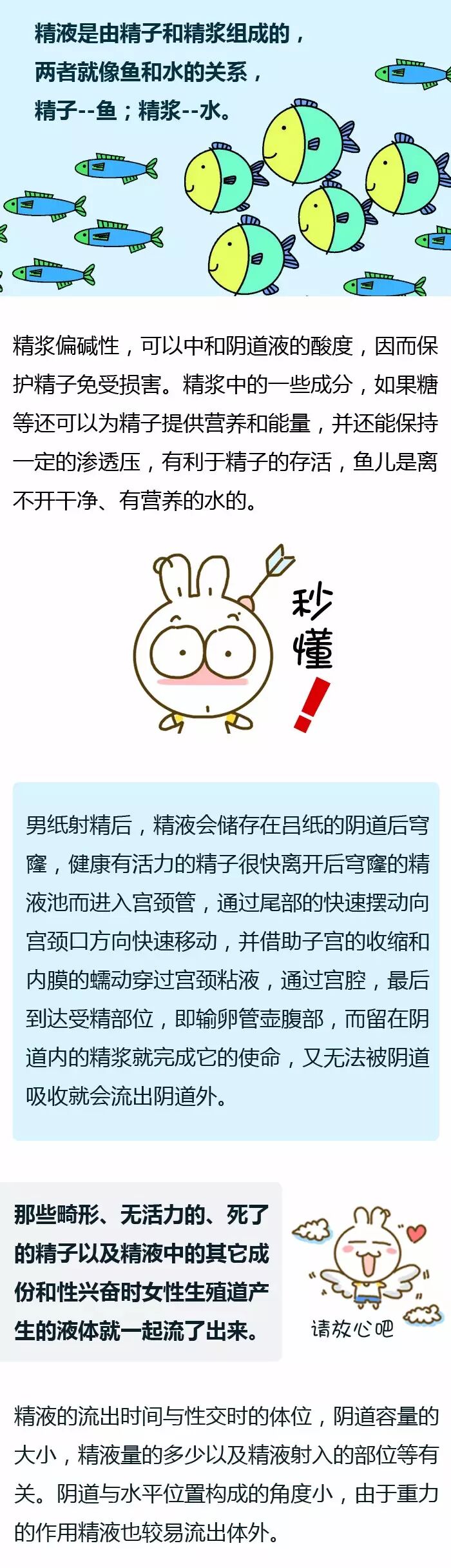 【荷医生课堂】同房后精液流出来会影响怀孕吗?-怀孕期