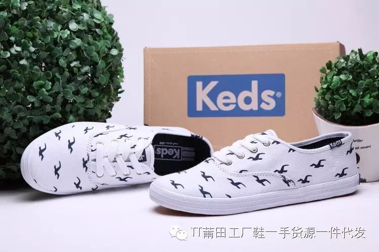 keds taylor swift 霉霉 1989巡演 海欧款 白色 35-39