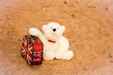 揭秘朋友圈里疯传的3D小熊背后