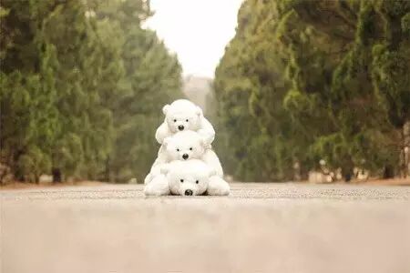 揭秘朋友圈里疯传的3D小熊背后