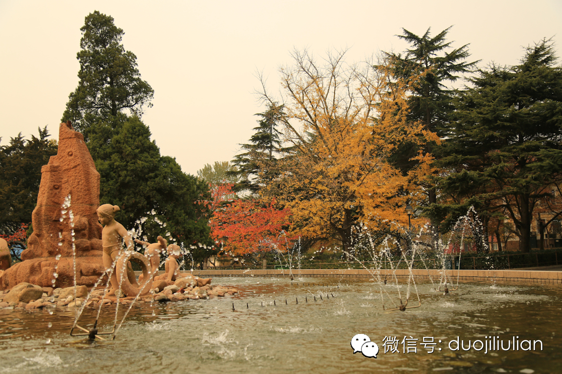 有种秋天叫青岛中山公园