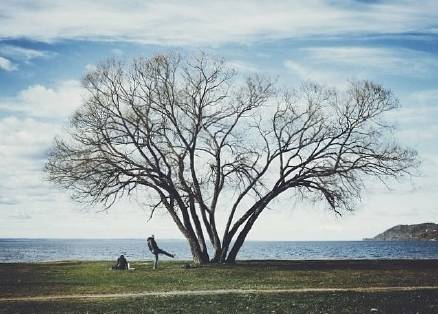 640?wx_fmt=png&tp=webp&wxfrom=5&wx_lazy=