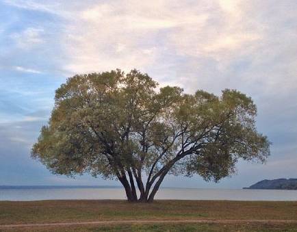 640?wx_fmt=png&tp=webp&wxfrom=5&wx_lazy=