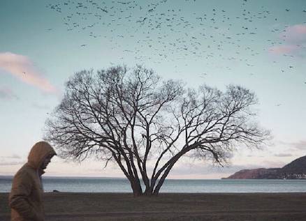 640?wx_fmt=png&tp=webp&wxfrom=5&wx_lazy=